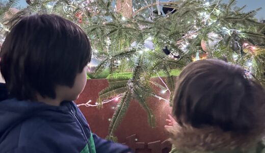 クリスマスが今年もやってきた〈その1：サンタさんがくるまで〉